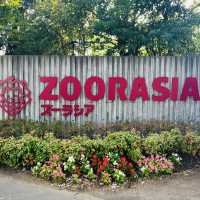 【横浜】よこはま動物園ZOORASIA - たくさんの動物が見られる国内最大級の動物園 -