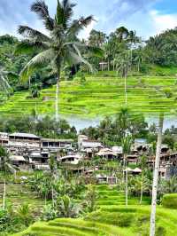 Embracing Nature at Ceking Rice Terrace