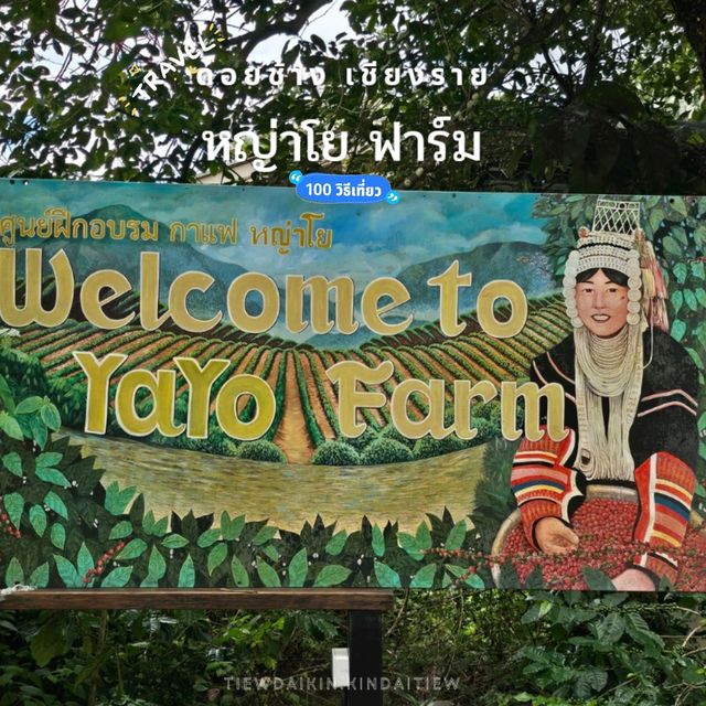 ร้านกาแฟ YAYO FARM ดอยช้าง