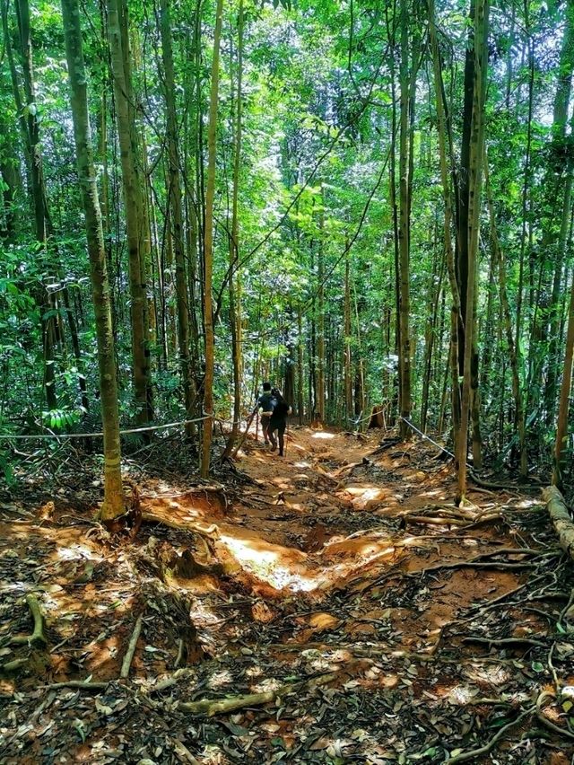 A facinating walk in natute experience! 🌿