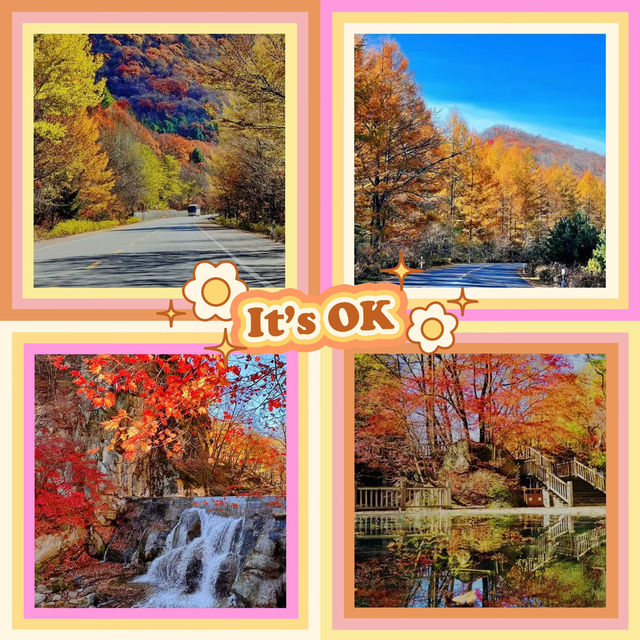 ～海坨山谷～紅葉奇觀～