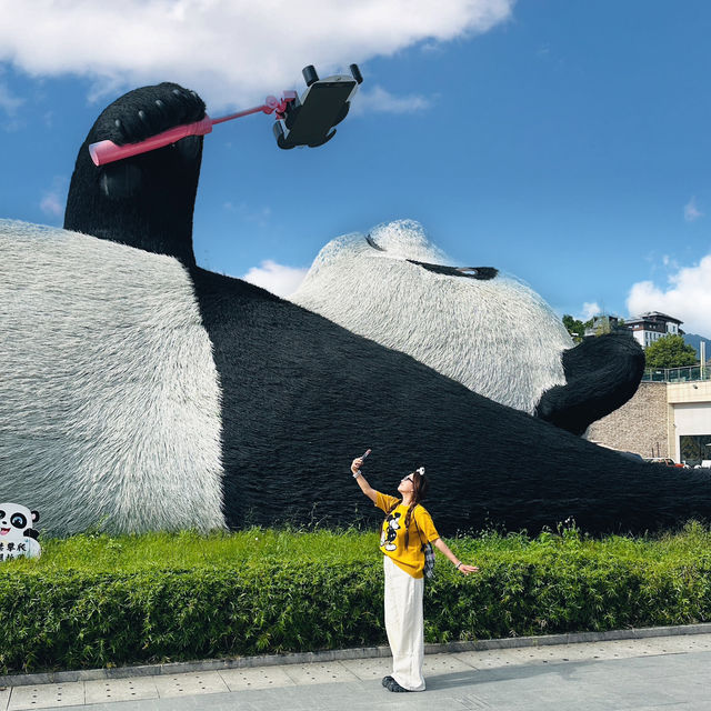 A giant panda will "lie" on Dujiangyan Yangtianwo Square