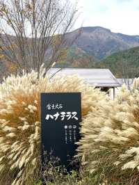 【秋の山梨】1泊2日  おすすめグルメ編！