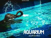 Aquarium สวนสัตว์เขาเขียว โชว์ช้างว่ายน้ำ 