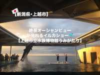 【上越市】絶景オーシャンビューが見れる水族館🐬