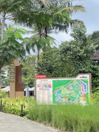 Unique Place In Lembang✨