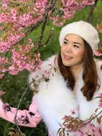 ศูนย์วิจัยเกษตรหลวงเชียงใหม่ ขุนวาง