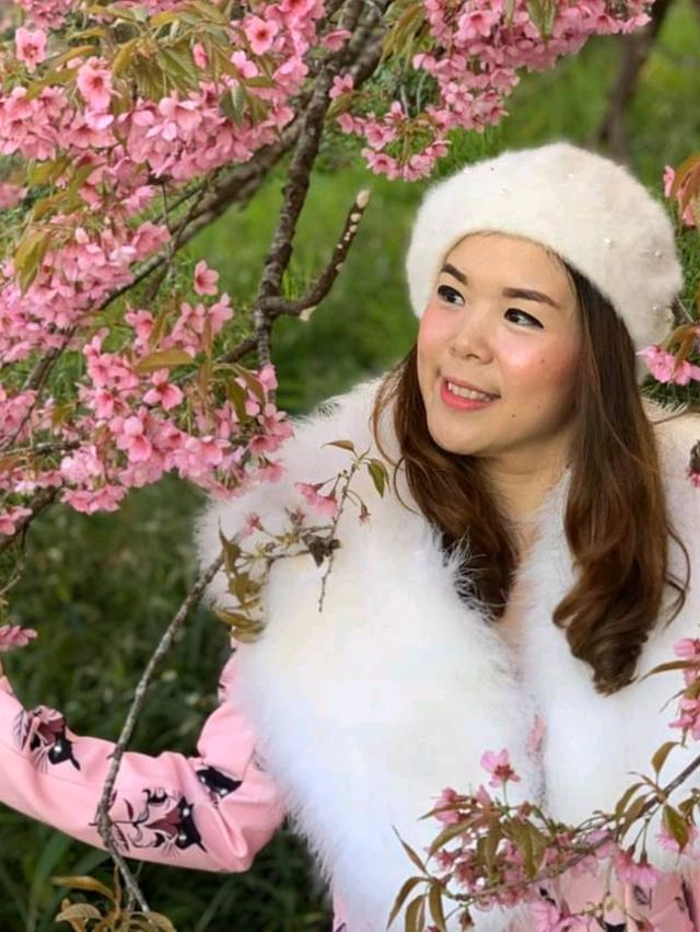 ศูนย์วิจัยเกษตรหลวงเชียงใหม่ ขุนวาง