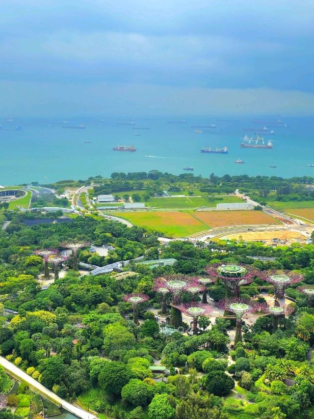 เที่ยวชมวิวสิงคโปร์ที่ SkyPark: Marina Bay Sands