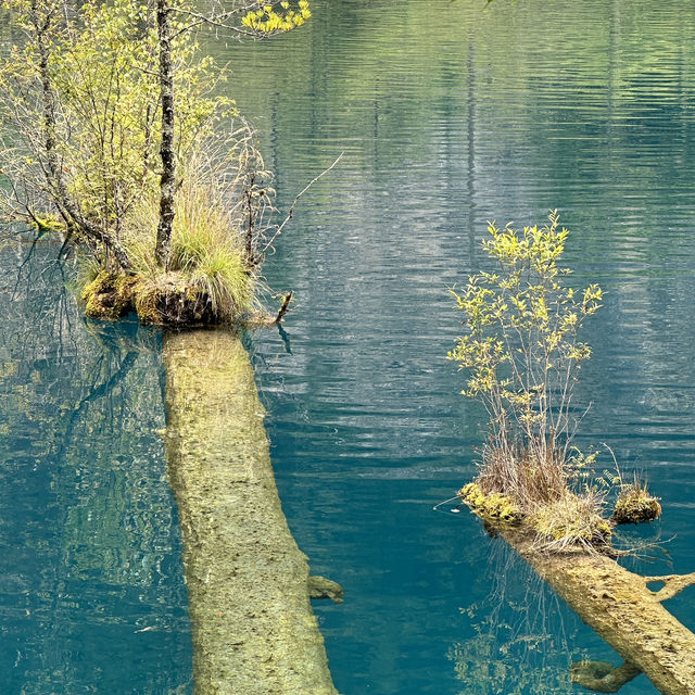 🌿 Exploring Jiuzhaigou: Nature’s Hidden Gem in Sichuan, China! 🌧️  