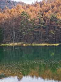 【長野】水面に映り込む超神秘的や紅葉絶景✨✨