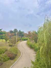 기분전환할 수 있는 자연명소 청라호수공원🤍🌳