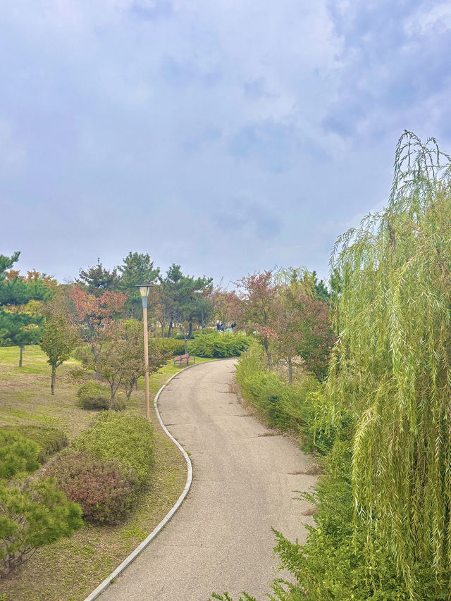 기분전환할 수 있는 자연명소 청라호수공원🤍🌳