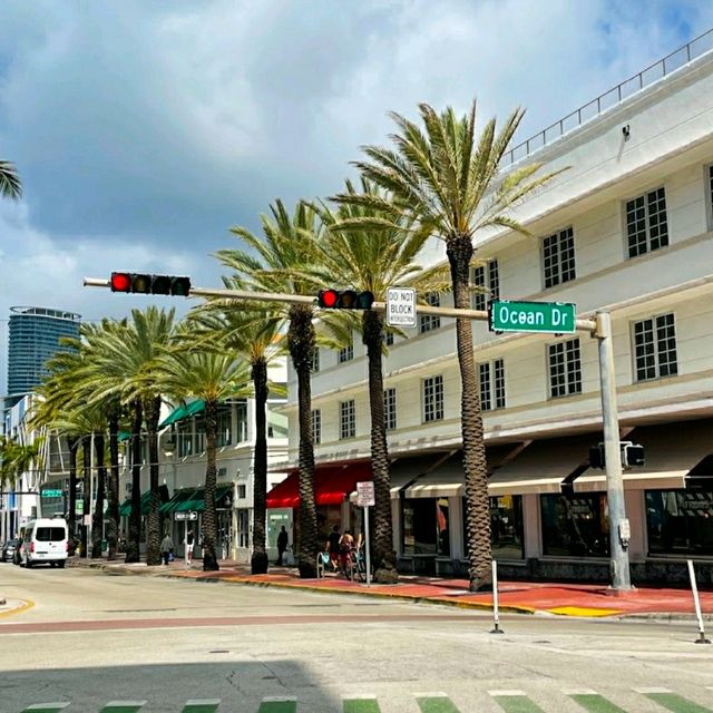MESMERISING MIAMI BEACH ⛱️.