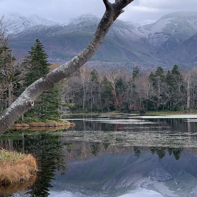 Rewarding sights at Shiretoko Five Lakes morning walk late autumn