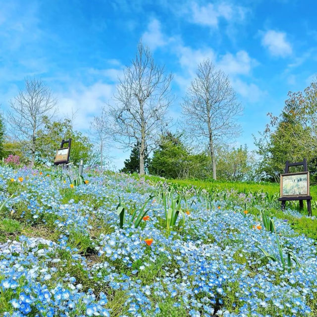 ～英彥山花園～鳥語花香花園～