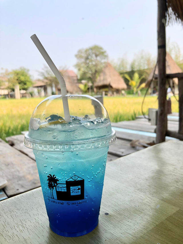 🌿 นาข้าว คาเฟ่