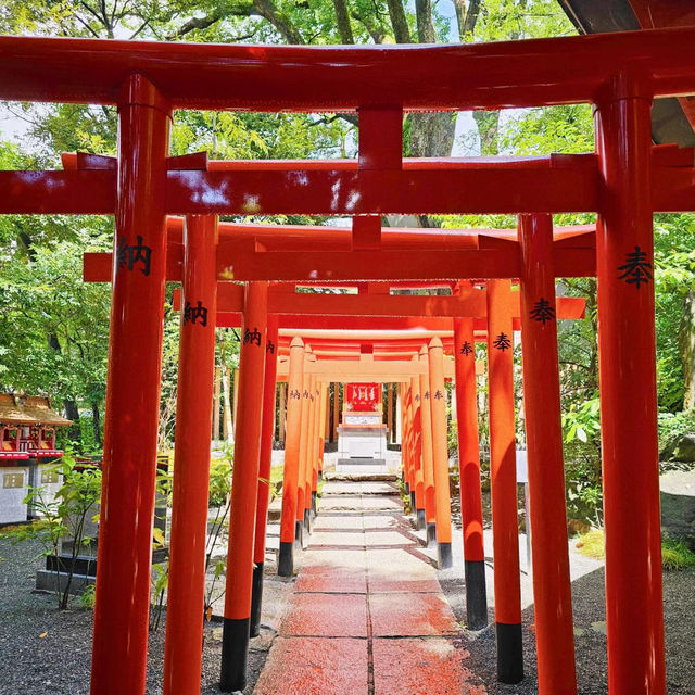 水天宮🐲歷史的韻味！⛩️✨