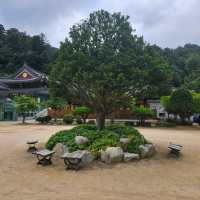 Woljeongsa Temple, Odaesan Mountains