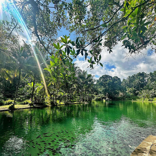 Taman Mumbul Sangeh: A Spiritual and Scenic Retreat