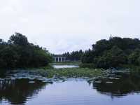 香港生態公園：米埔濕地