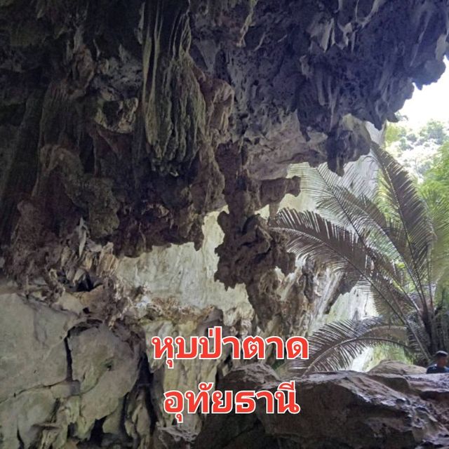 อัศจรรย์ธรรมชาติที่หุบป่าตาด✨️