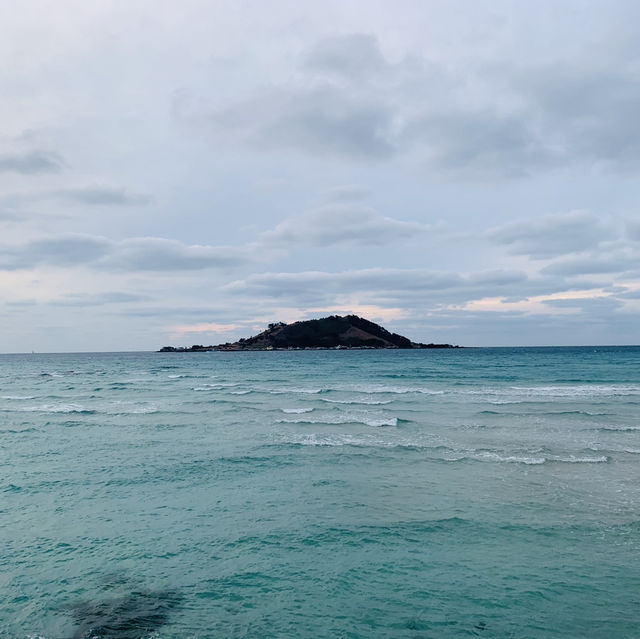 짧아도 좋은 제주여행 1박 2일😉 탑동에서 서쪽해안까지🌊