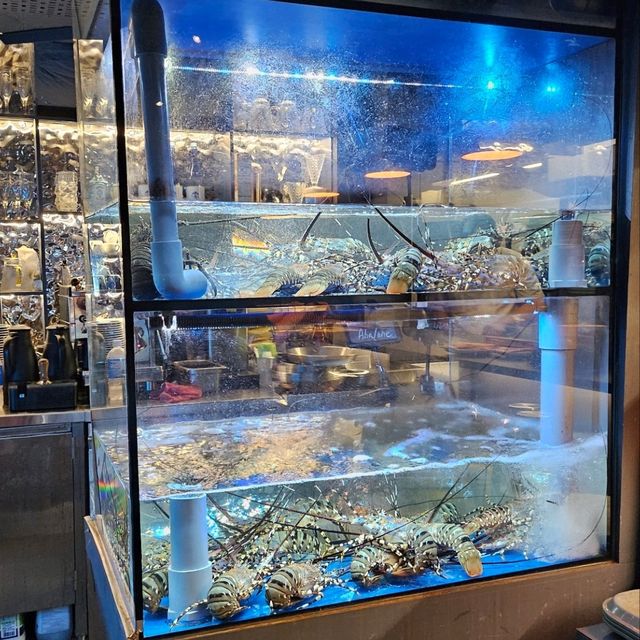 星空下的浪漫餐廳：性價比極高 超推薦約會