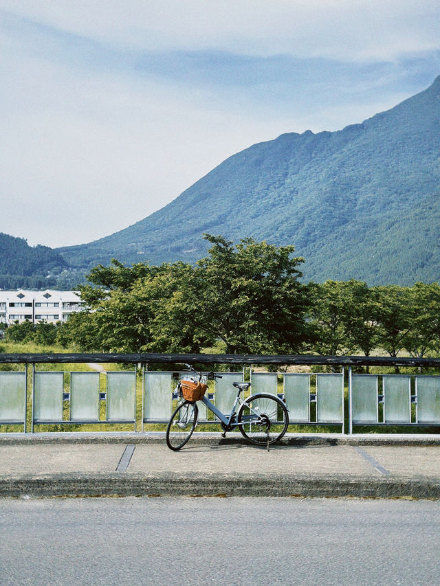 🇯🇵由布院小眾玩法｜田野、單車、美術館🖼️