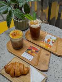 Barista Collective