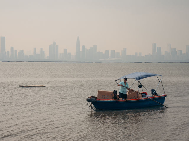 流浮山 魚塘和金蠔