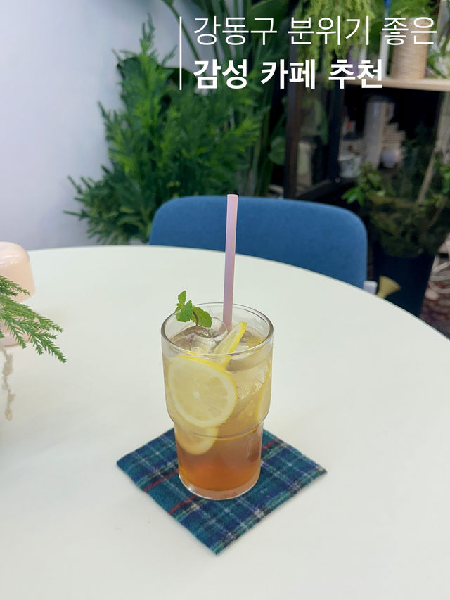서울 강동, 분위기 좋은 감성 카페 추천☕️