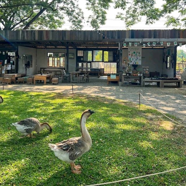 Judy's Home Cafe คาเฟ่สไตล์โฮมมี่