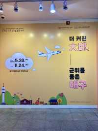 대구에서 기획 전시를 무료로 관람할 수 박물관💛