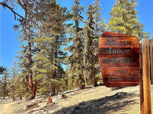 Golden Trout Wilderness: A Hidden Gem for Outdoor Adventure