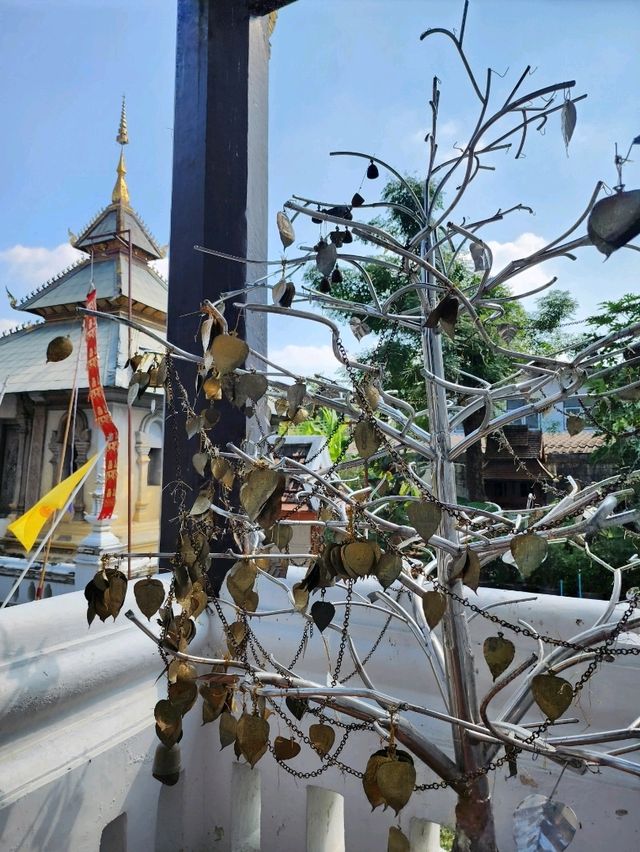 【チェンマイ】運勢アップのお寺 Wat Duang Dee