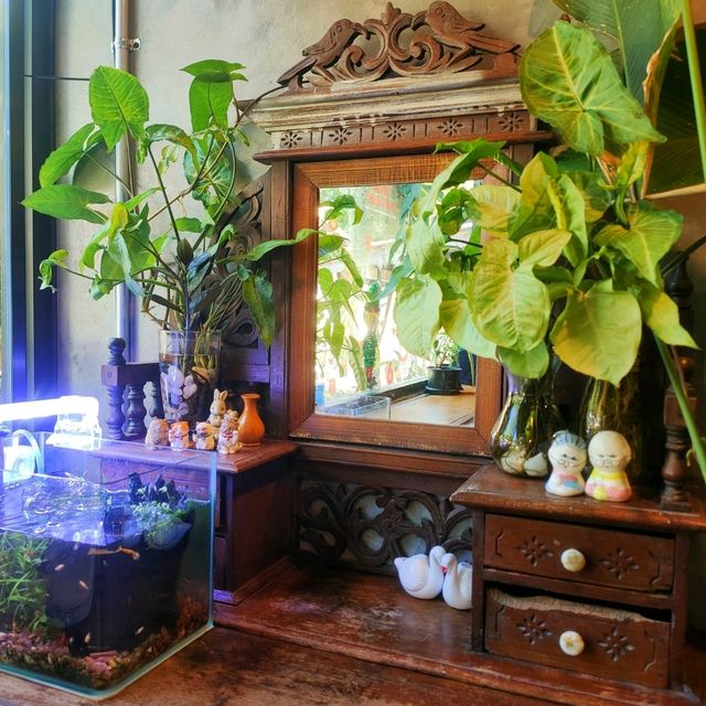 คาเฟ่ร้านลับ บรรยากาศดีในเมืองทองธานี