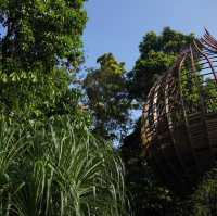 Hidden Gem in Singapore for nature lovers!!