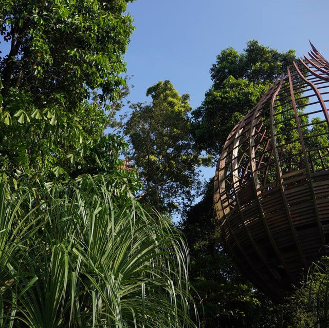 Hidden Gem in Singapore for nature lovers!!