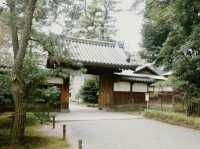 #橫濱🇯🇵神奈川三溪園#