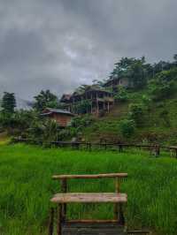 Sapan in rainy season.Nan province,Thailand