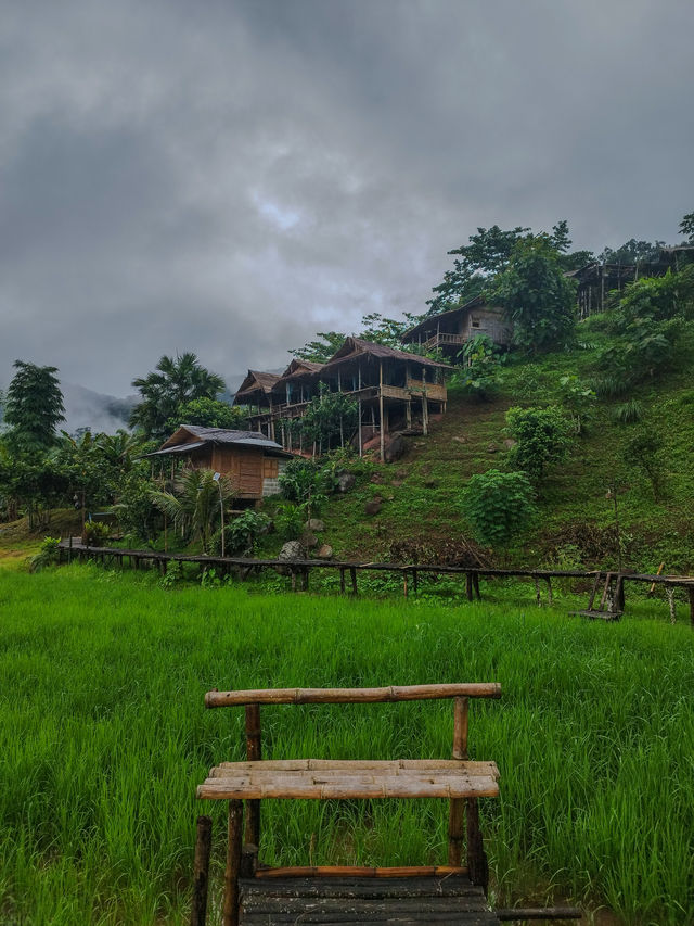 Sapan in rainy season.Nan province,Thailand