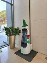 숲속요정 트리존이 멋진 거제여행지🎄