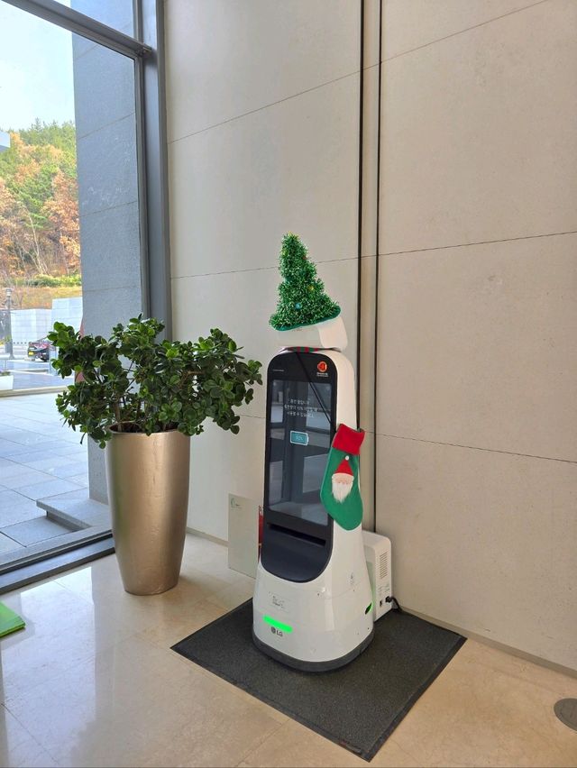 숲속요정 트리존이 멋진 거제여행지🎄