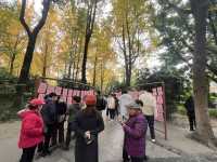 人民公园 (People’s Park) ไปหาคู่กัน❤️