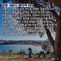 호주 시드니 본다이 비치 🇦🇺