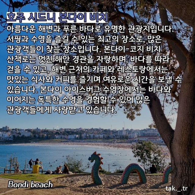 호주 시드니 본다이 비치 🇦🇺