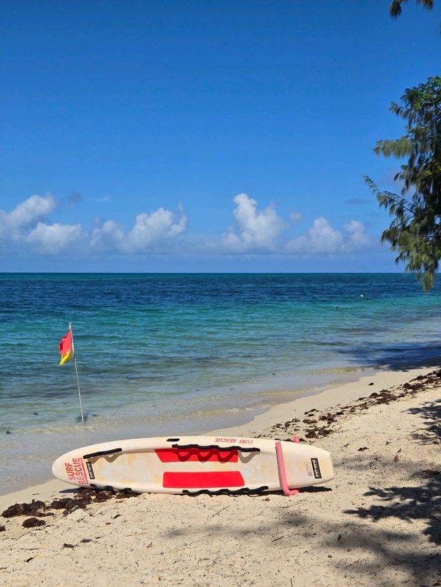 ケアンズから行く、グリーン島