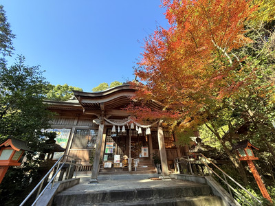 北村直登先生の絵を間近で堪能できる神社 | Trip.com 大分