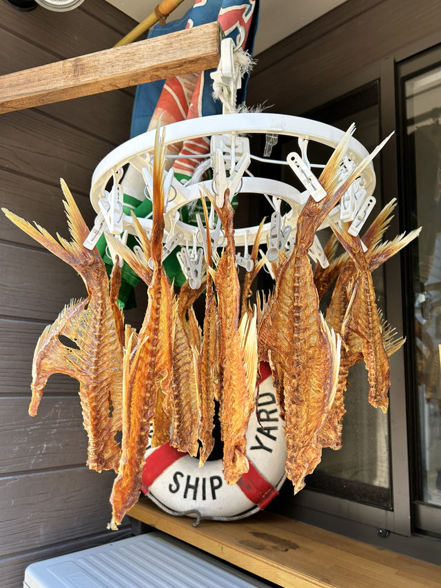 【神奈川・三崎】マグロだけじゃない！三崎港🐟